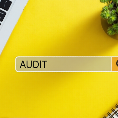 Concept Of Audit For The Business Use.