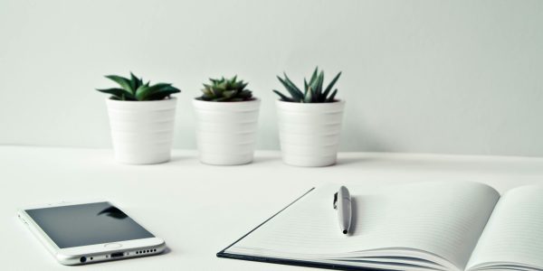 pexels-nietjuhart-796602